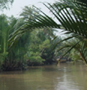 Ls om ventyr i Mekong deltat